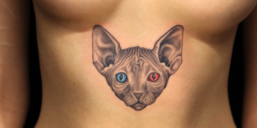 sphynx cat tattoo